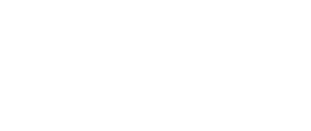 n8n icon -